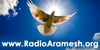 radioaramesh